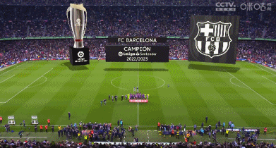 懂球帝2025赛季中超第30轮MVP：法比奥-阿布雷乌